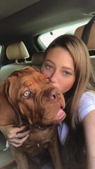 דוג דה בורדו כלב מדהים דוג דה בורדו כלב מדהים