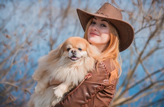 פקינז לאימוץ פקינז לאימוץ