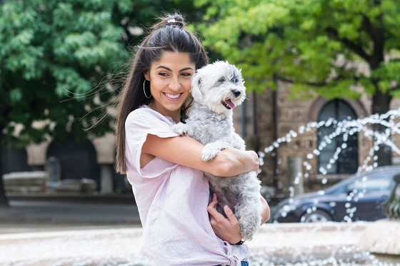 בישון הוואנז לאימוץ בישון הוואנז לאימוץ