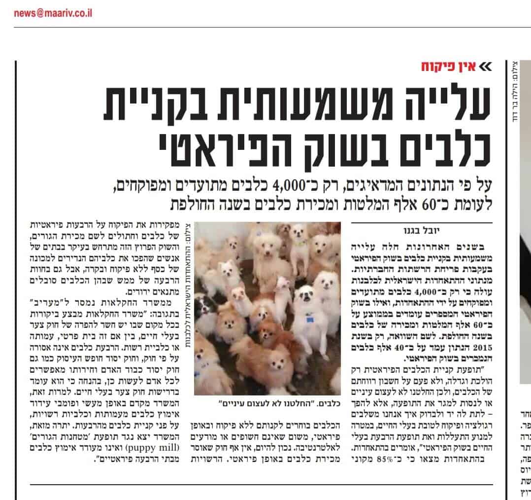 אתר: "מעריב" אתר: "מעריב"