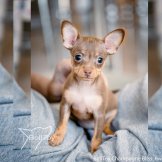 TVIV0472-Editsкрошка-лого7000