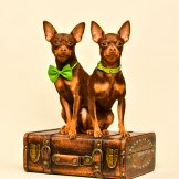 תמונות טוי רוסי  (4)