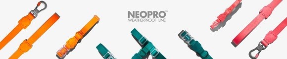 NEOPRO