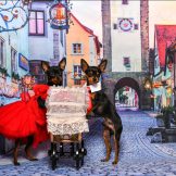 Screenshot_20210426-153914_Gallery