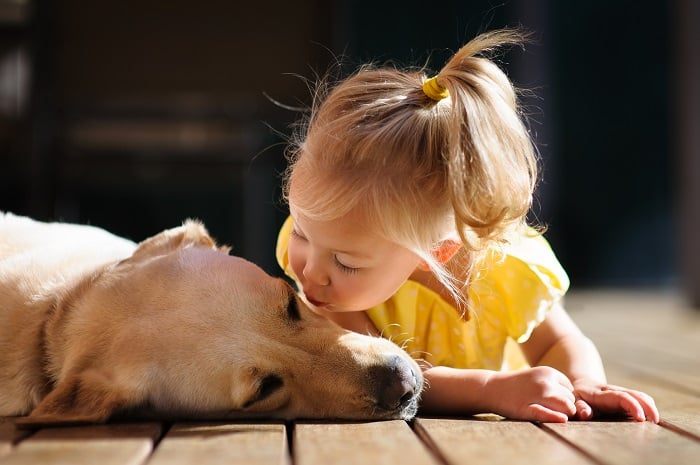 כלב גזעי נטוש מקבל נשיקה מילדה