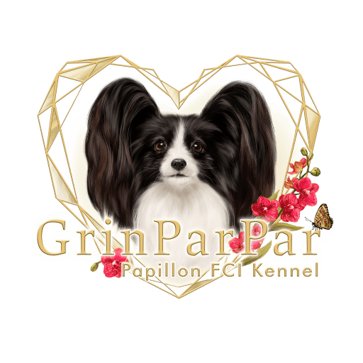 GRINPARPAR Papillon Kennel