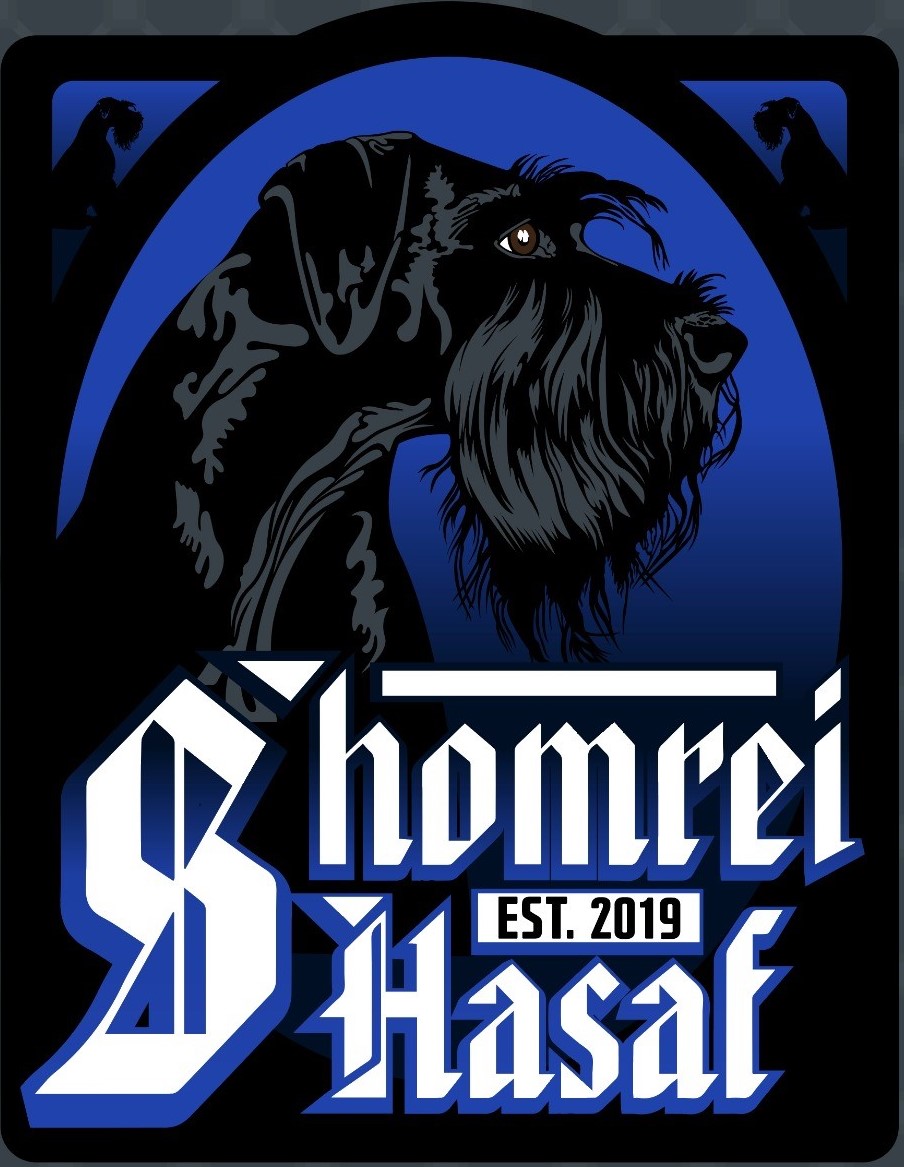 Logo sh-2efd28d5