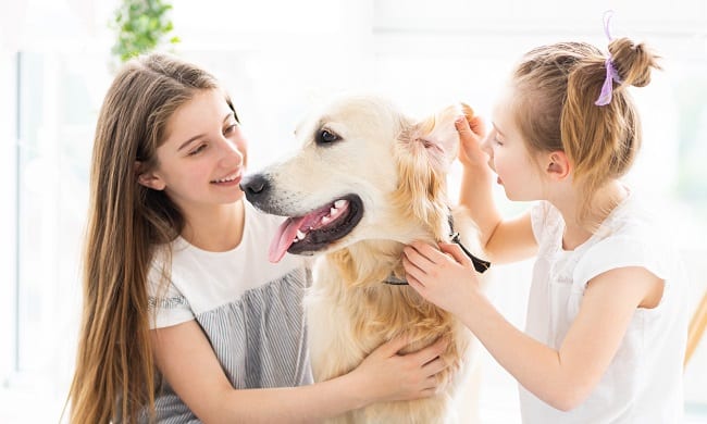 ילדות נותנות תרופה לכלב