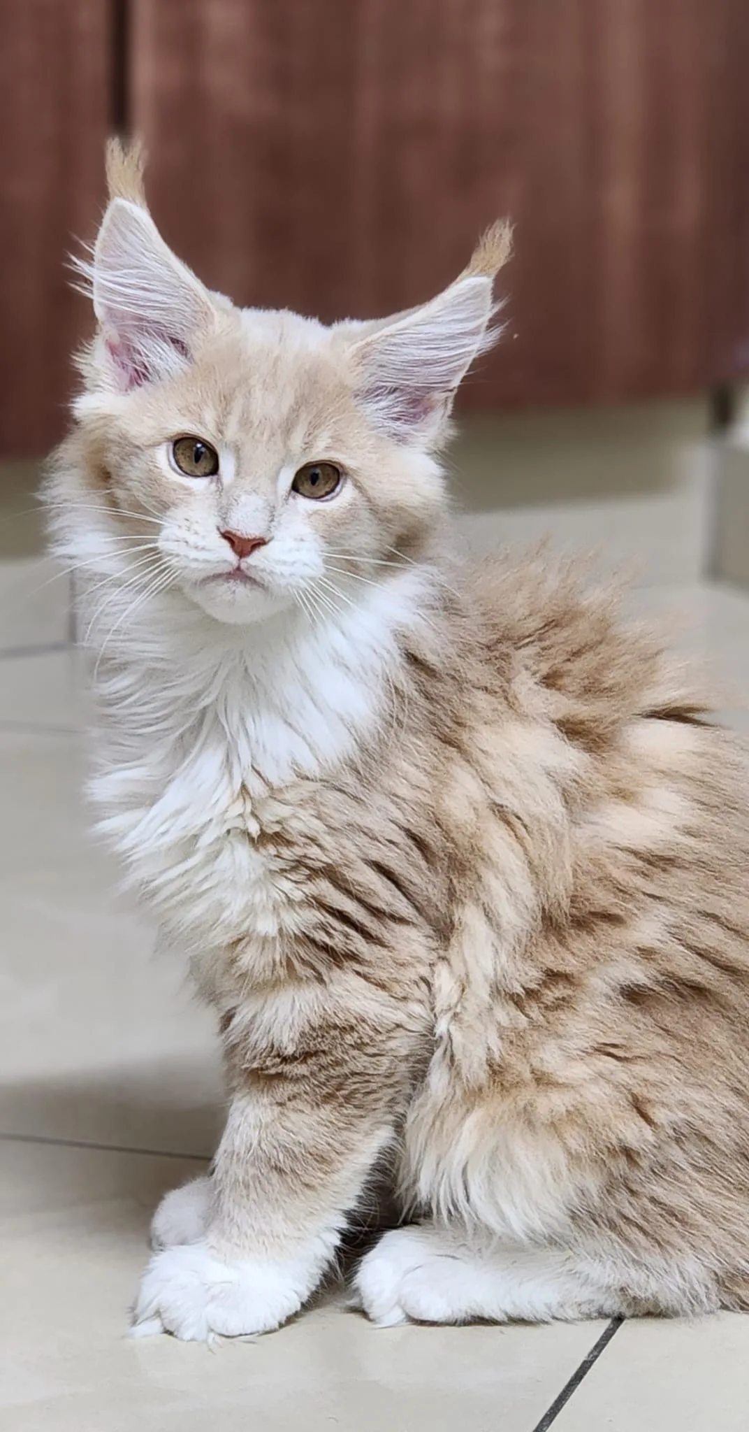 0491feae-b3fa-441f-a3c4-1f4630437964