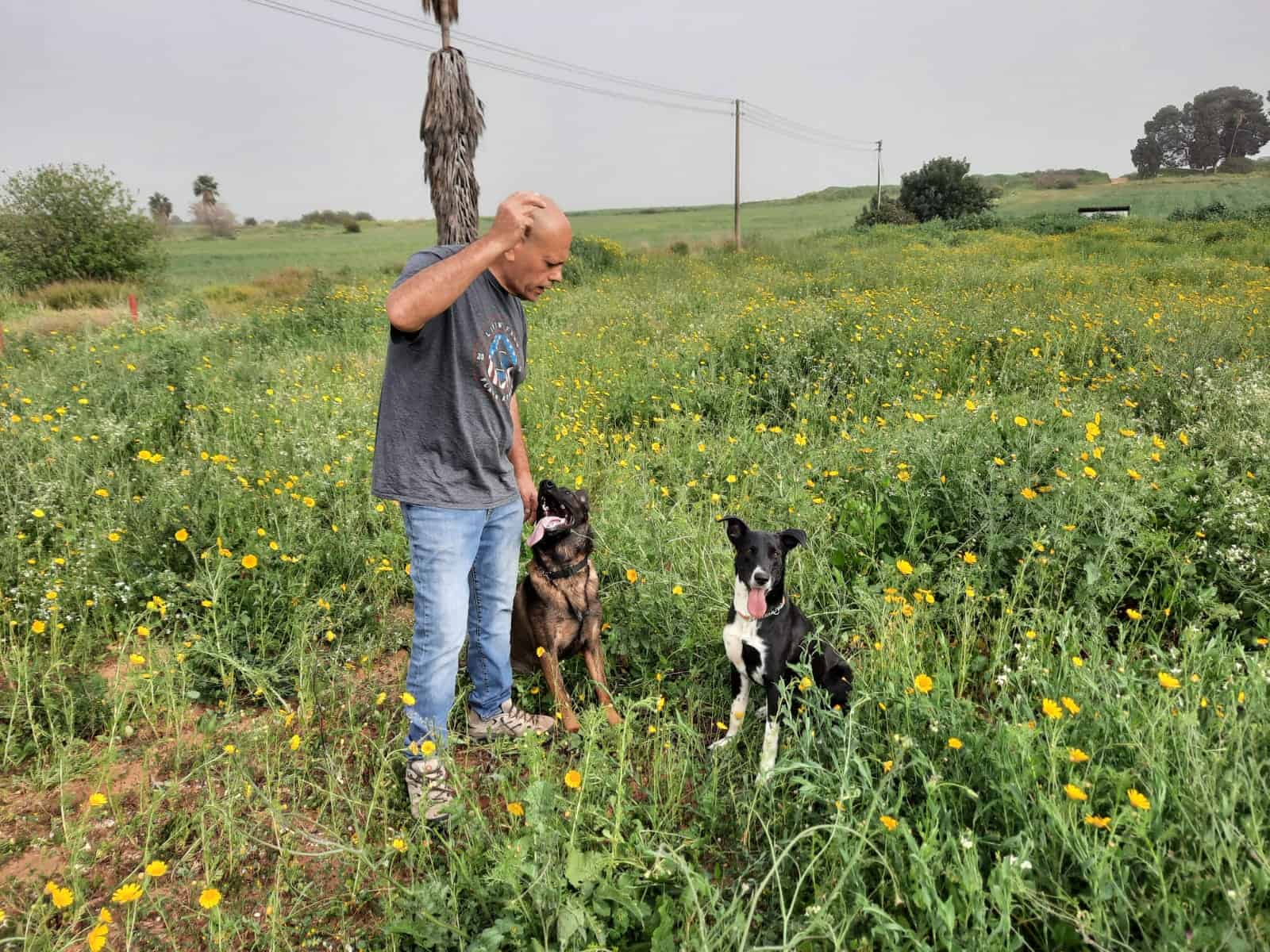 SMART DOG אילוף כלבים וכלבנות טיפולית