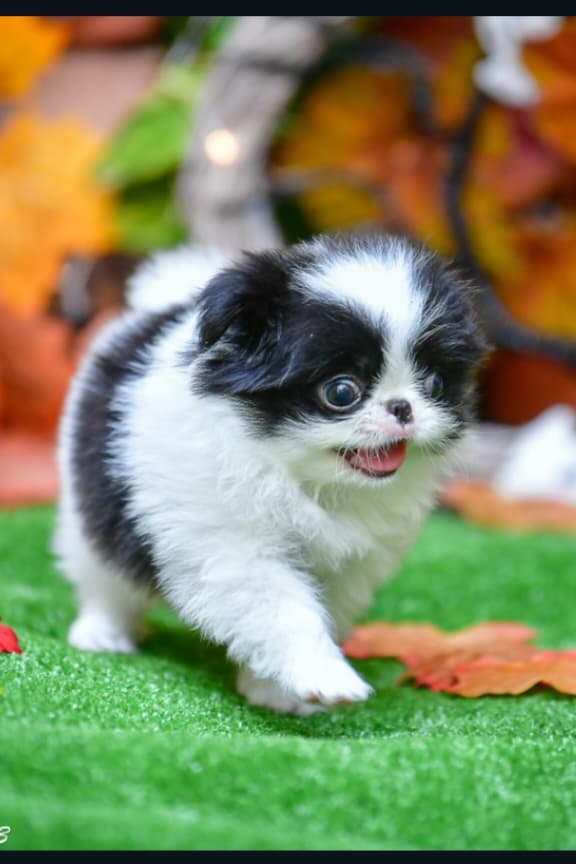 Screenshot_20231106_052459_Drive