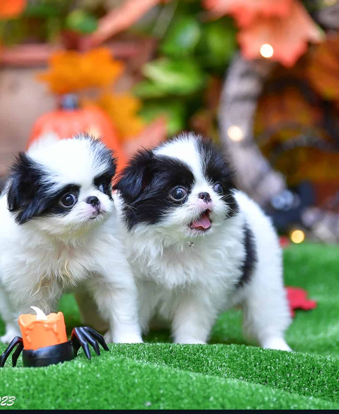 Screenshot_20231106_055505_Drive