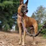 תיבוןIMG_20181005_093957_Bokeh