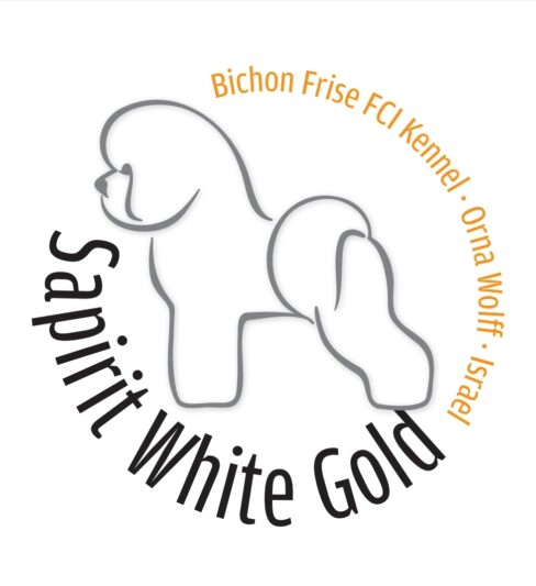 Sapirit White Gold