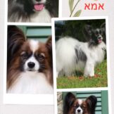 d3474438-a75a-4a85-b217-da6ee8689cc5
