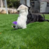 IMG-20250313-WA0022