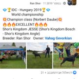 Screenshot_20250516_105142_Facebook