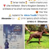 Screenshot_20250516_110359_Facebook