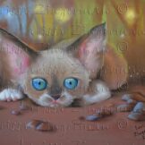 146698800_4058243764207977_8405859483455636921_n