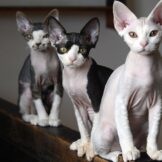 294270458_5752564538109216_3980120117642404115_n