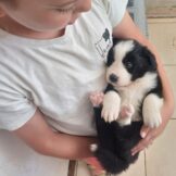 של WhatsApp‏ 2025-05-25 בשעה 10.36.49_cd4e247e