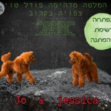 קק