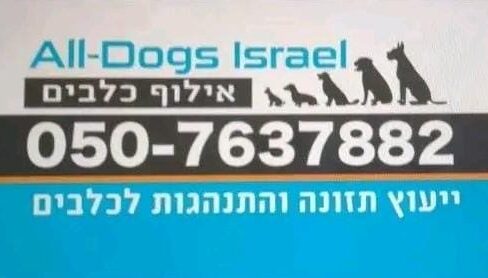 All Dogs Israel 🇮🇱