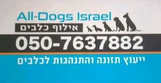 All Dogs Israel 🇮🇱