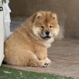 IMG_0547