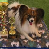 OSCAR
