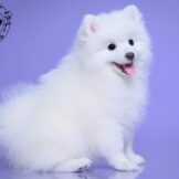 IMG-20250821-WA0120