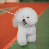 u2911-55986b67-706d-4dfc-b758-7592b89223ec-1