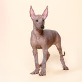 u4608-DSC_1680-редакт