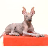 u4608-DSC_2062-редакт