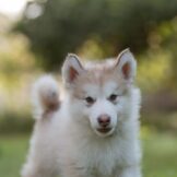 u4757-א‏-2025-09-02