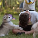 u4757-ג‏-2025-09-02