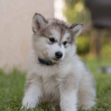 u4757-ד‏-2025-09-02