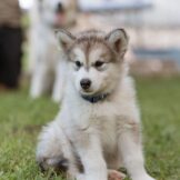 u4757-‏-2025-09-02