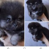 u4771-Screenshot_20250831_223655_Facebook