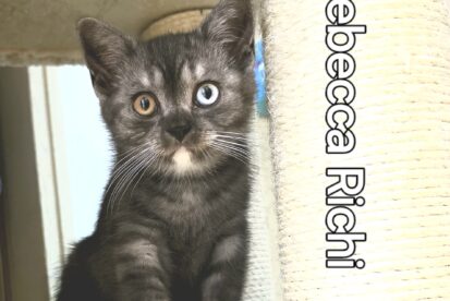 Rebecca Richi גורה בריטית