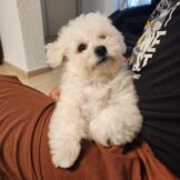 u2337-54df2701-8137-4248-bcb3-0b8bd54230c4-1_all_68861