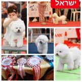 u2485-IMG-20231122-WA0013