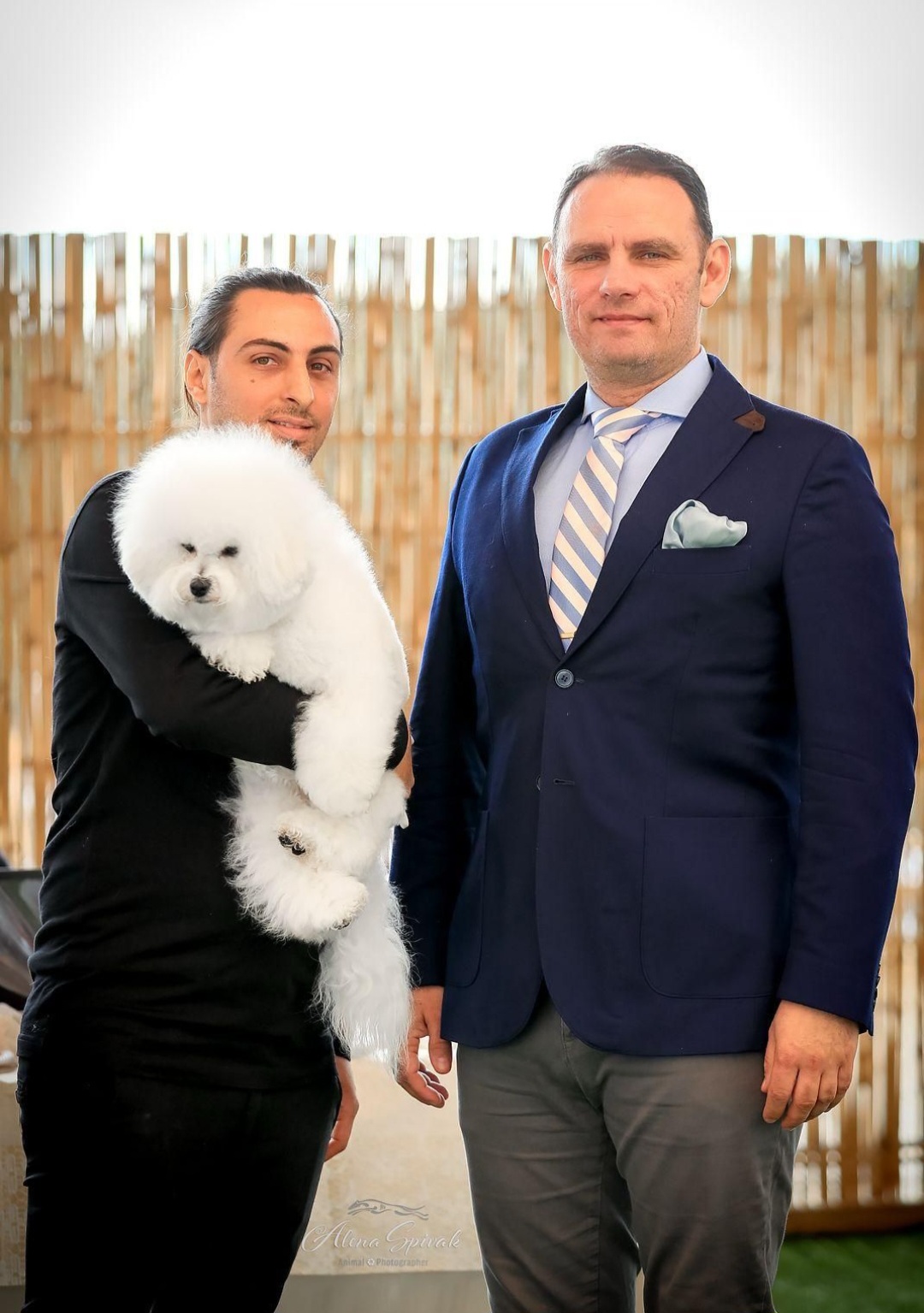 גורי בישון פריזה