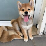 u2895-IMG-20251005-WA0024