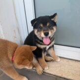 u2895-IMG-20251005-WA0025