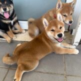 u2895-IMG-20251005-WA0026