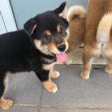 u2895-IMG-20251005-WA0032