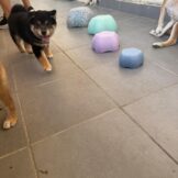 u2895-IMG-20251005-WA0036