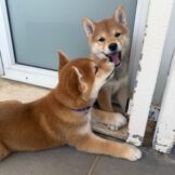 u2895-IMG-20251005-WA0037