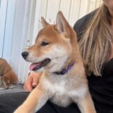 u2895-IMG-20251005-WA0038